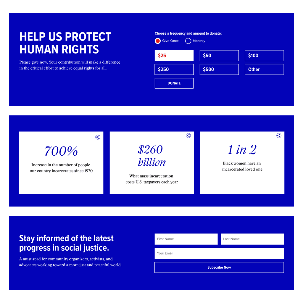 Crafting a Content-Driven Platform for Advocacy and Impact - Image 3