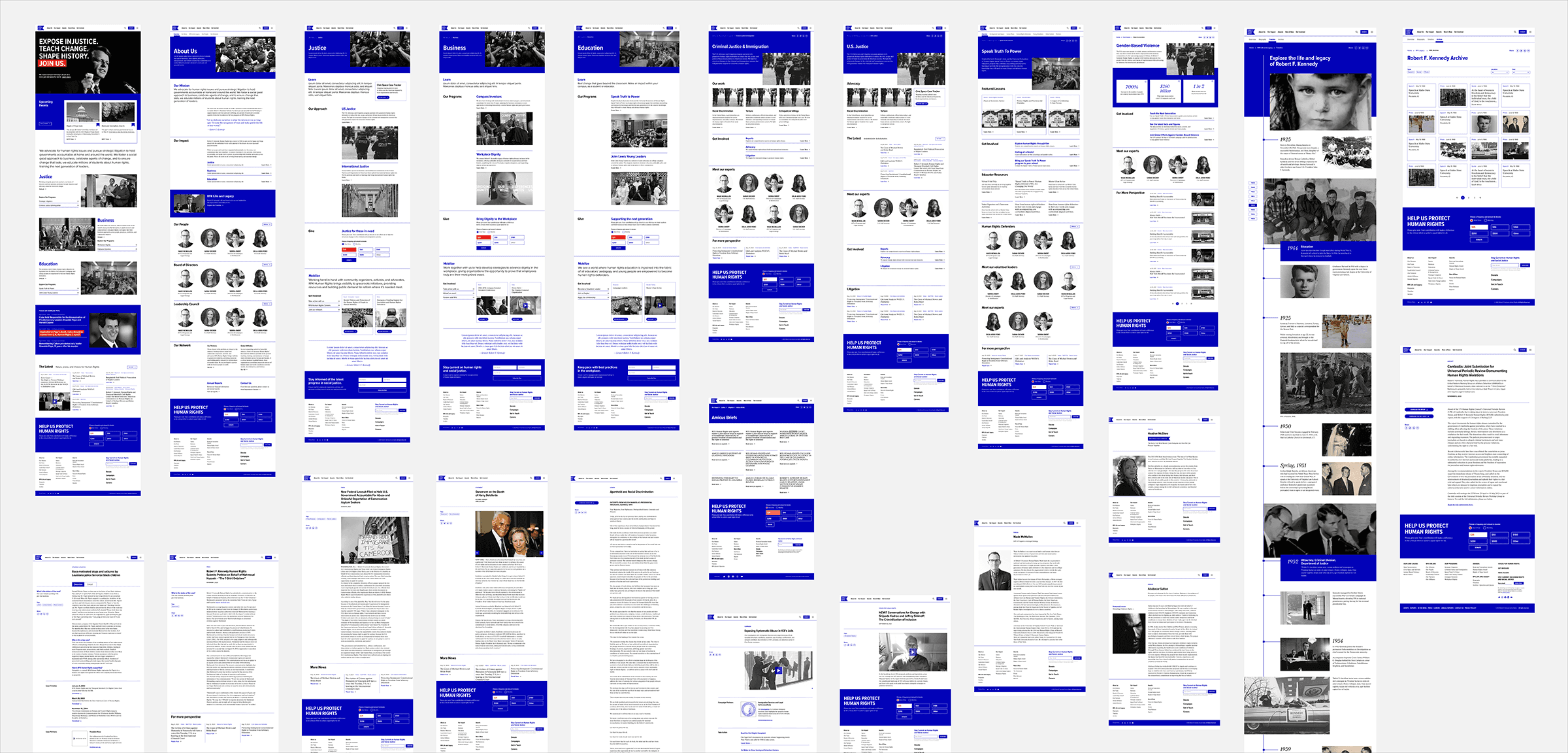 Crafting a Content-Driven Platform for Advocacy and Impact - Image 2